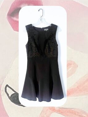 The Limited Black Lace Sleeveless Mini Fit & Flare Dress with Sheer Detail